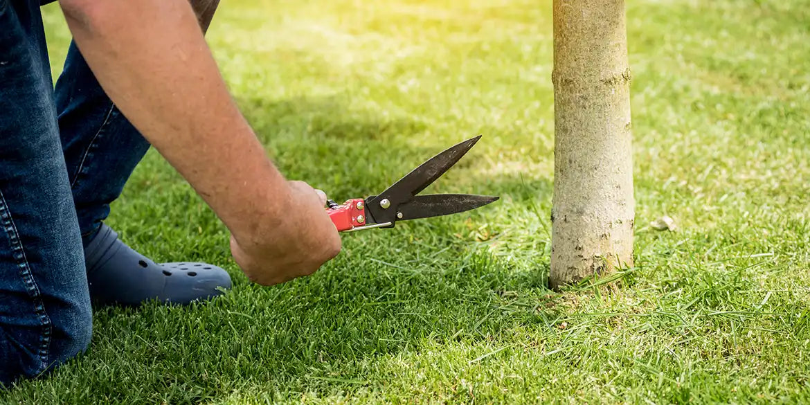 Mann schneidet Rasen mit Gartenschere