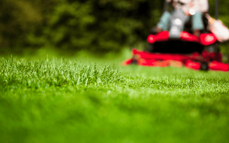 Rasenpflege im Frühjahr: Die wichtigsten Tipps rund um Düngen, Vertikutieren & Co. image