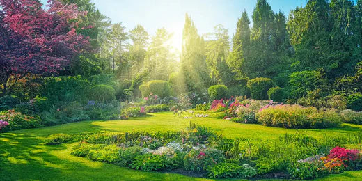 Trockenrasen im Sonnenschein