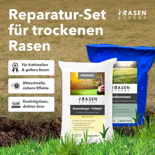 Reparatur-Set für trockenen Rasen | Survivor