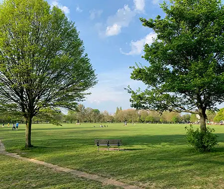 Park mit Wiese und Bäumen