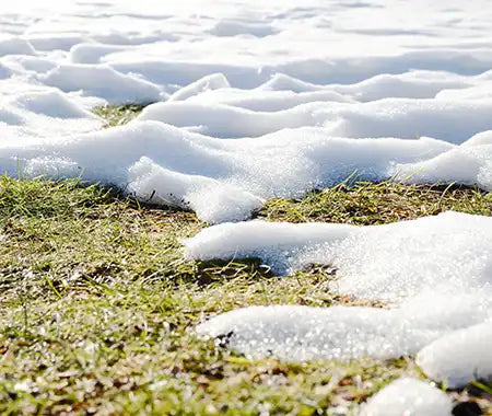 Schmelzender Schnee auf Rasen